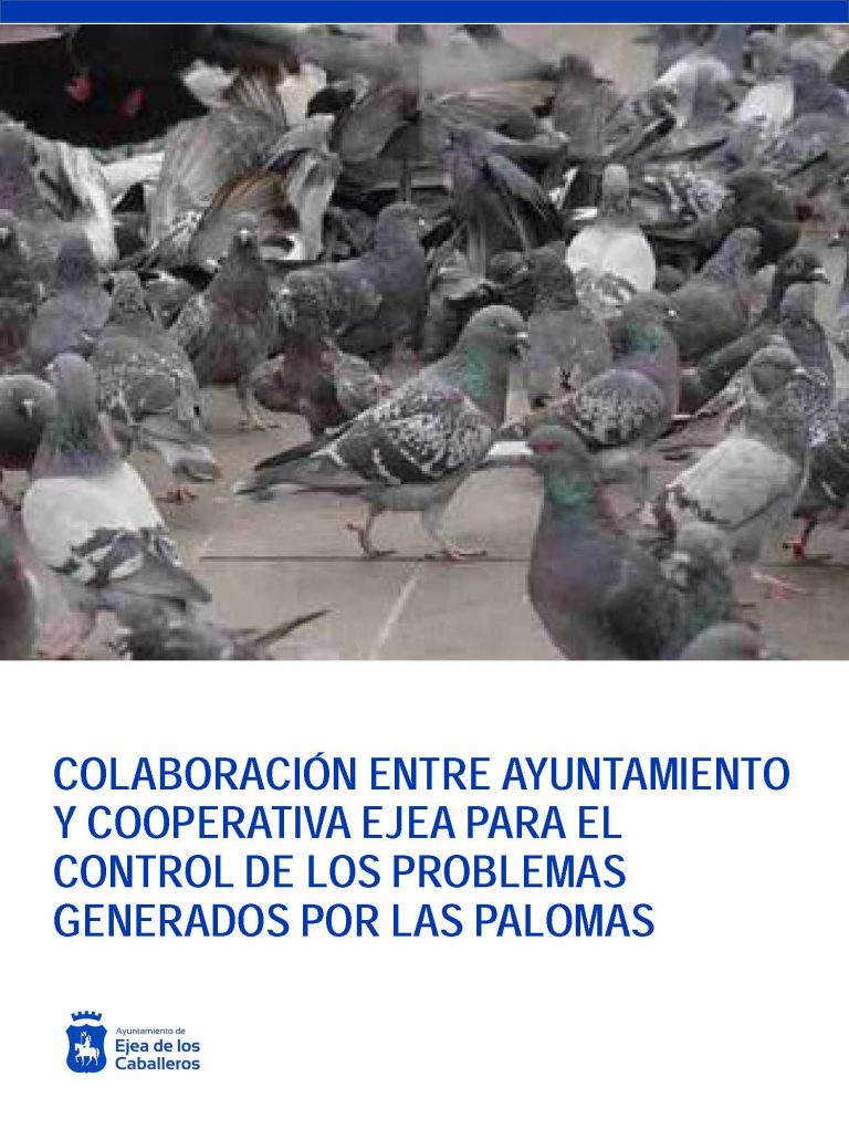 Lee más sobre el artículo Cooperación entre Ayuntamiento de Ejea y Cooperativa para el control de plagas de palomas