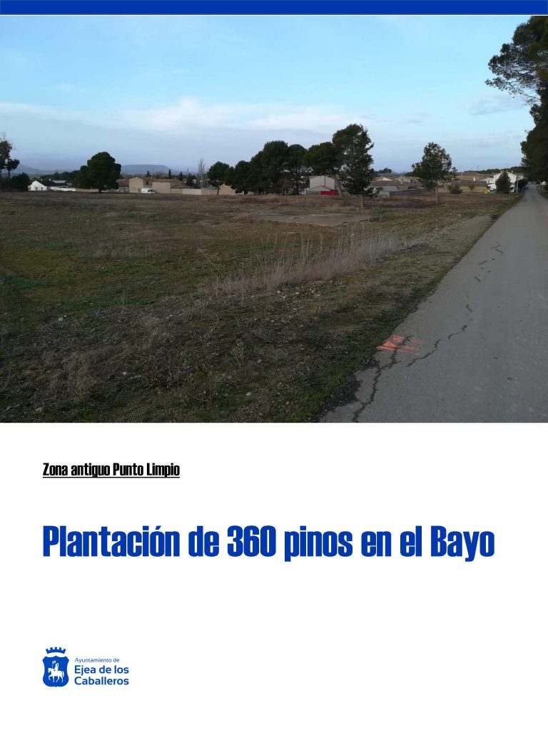 Lee más sobre el artículo Plantación de 360 pinos Carrascos en el antiguo punto limpio de El Bayo