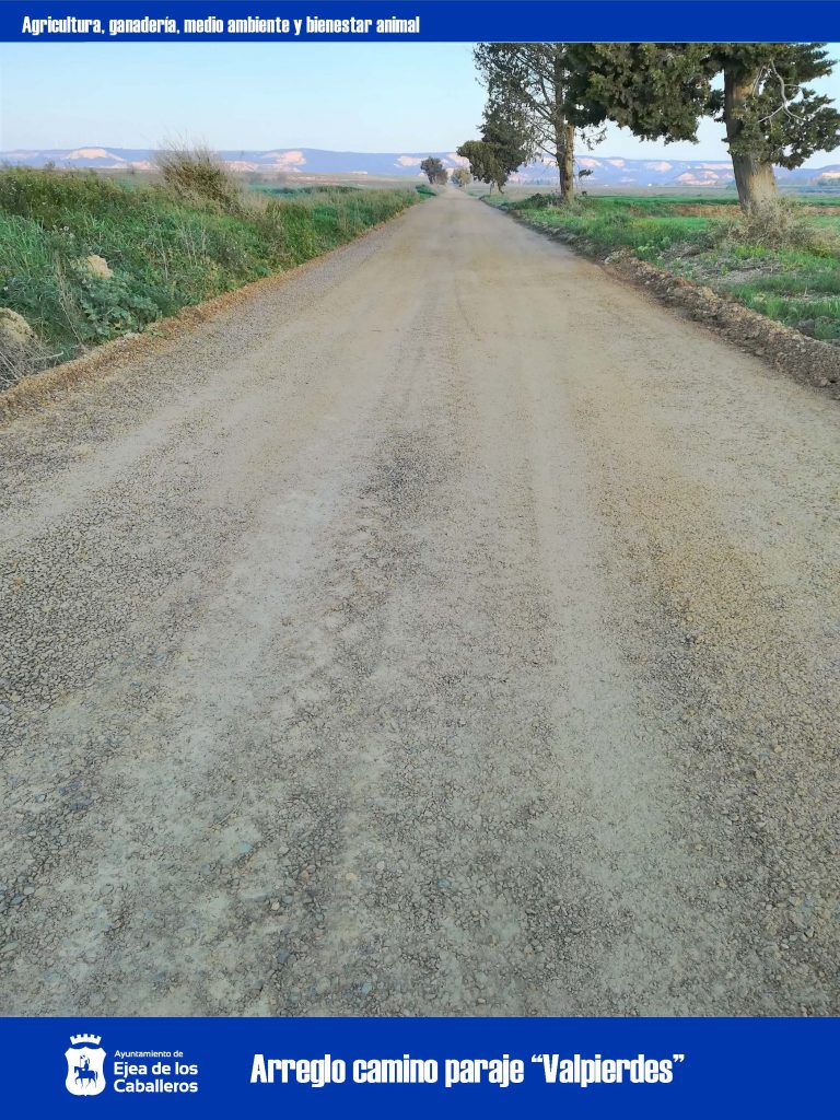 Lee más sobre el artículo Mejoras de caminos rurales en varias zonas de Ejea de los Caballeros y del Monte Bardena