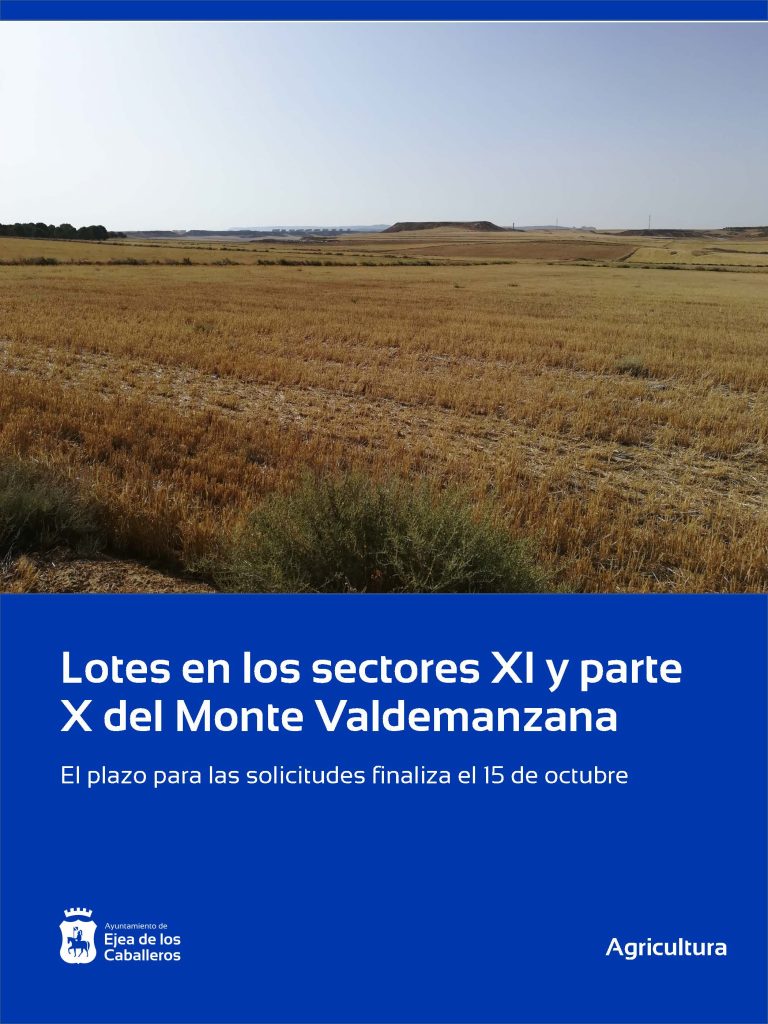 Lee más sobre el artículo Adjudicación de Lotes en los sectores XI y parte del X del Monte de Valdemanzana