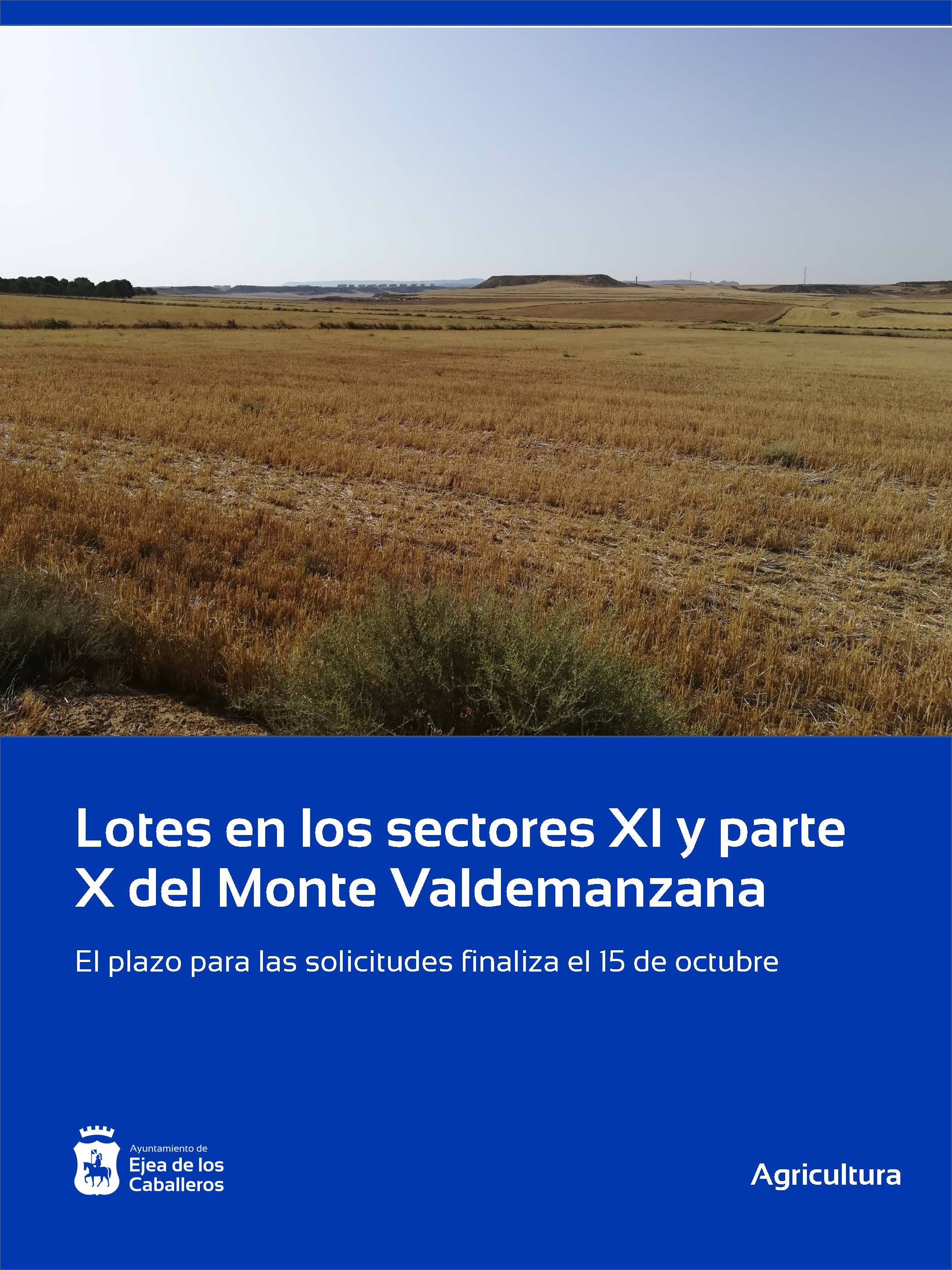 En este momento estás viendo Adjudicación de Lotes en los sectores XI y parte del X del Monte de Valdemanzana