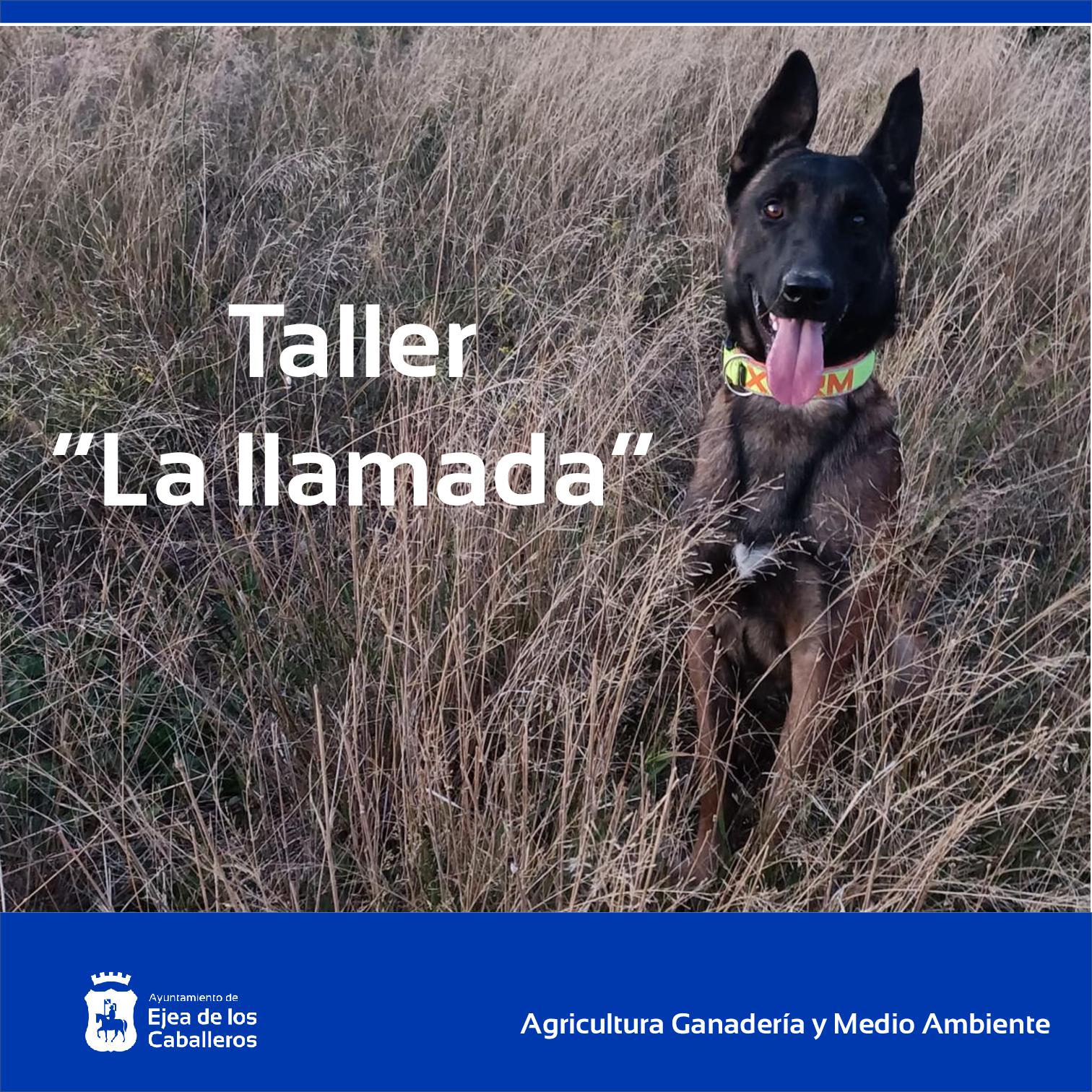 En este momento estás viendo Taller para reforzar el vínculo con perros “La Llamada”