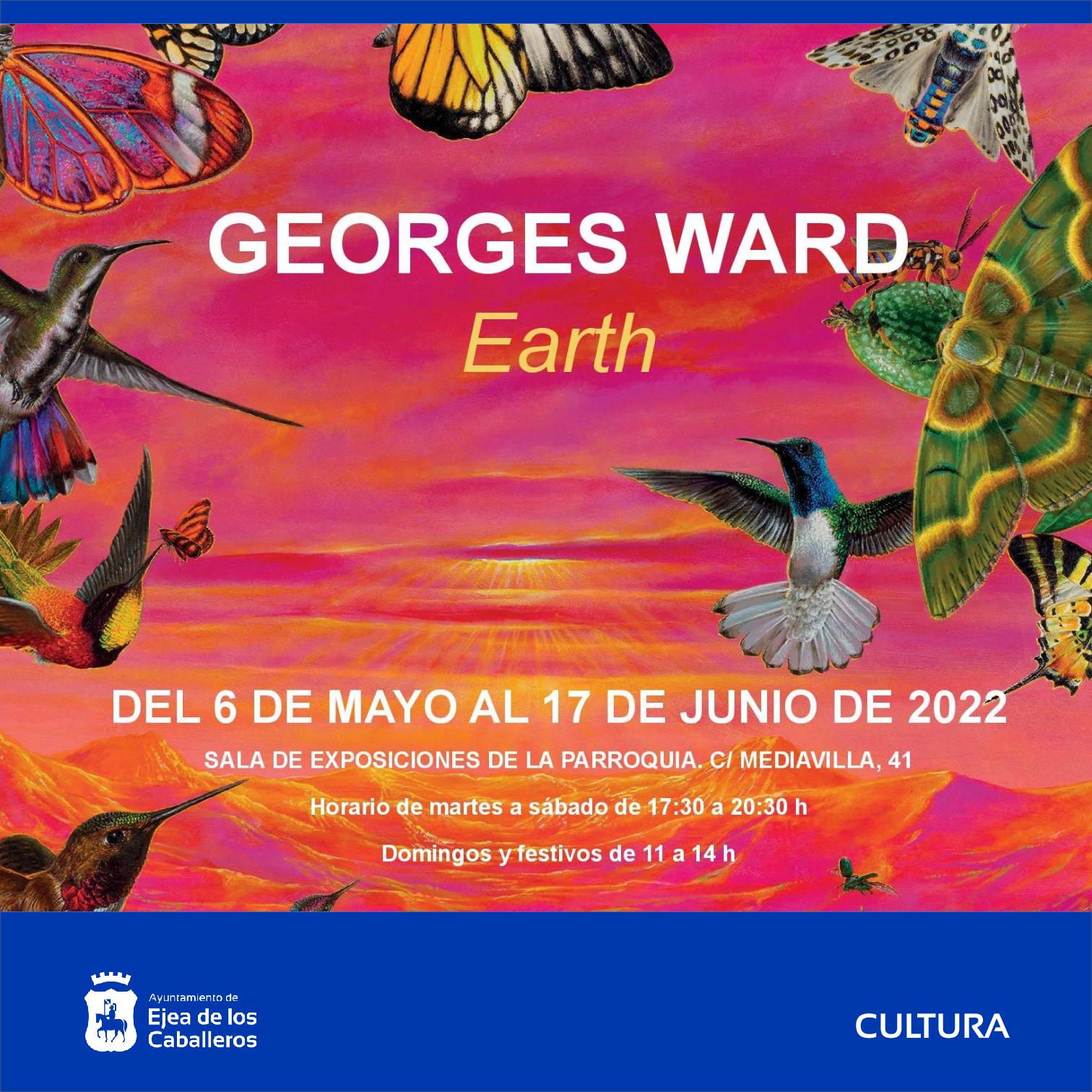 En este momento estás viendo Una exposición del pintor Georges Ward llega a Ejea de la mano de la UNED