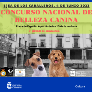 Lee más sobre el artículo En su tercera jornada de convivencia, la Asociación de vecinos del Casco Histórico organiza un “Concurso Nacional de Belleza Canina”