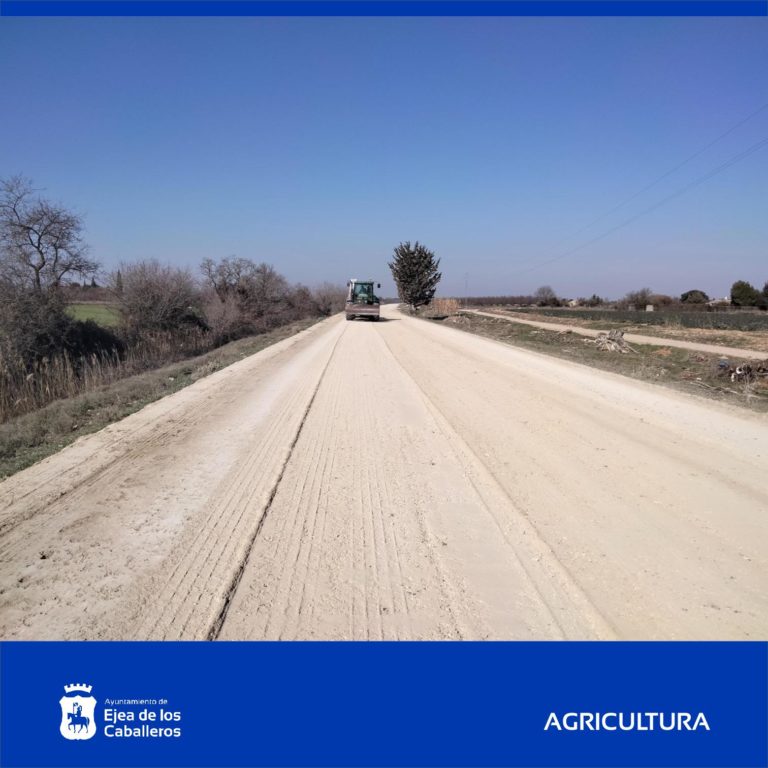 Lee más sobre el artículo Continúan los trabajos de mantenimiento de caminos rurales en Ejea