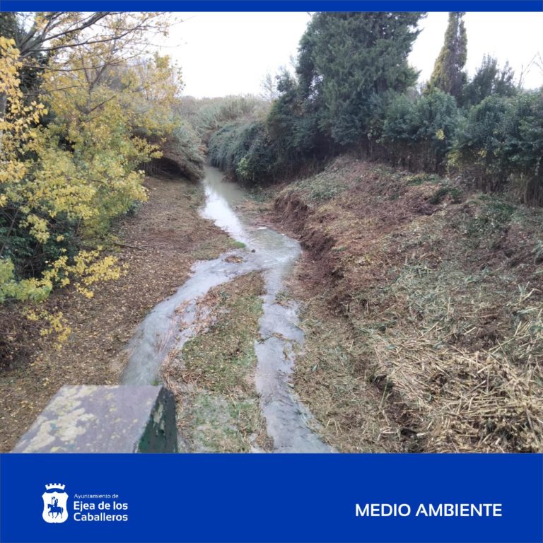 Lee más sobre el artículo Finalizadas varias actuaciones de limpieza en los ríos Arba de Biel y de Luesia a su paso por el casco urbano de Ejea