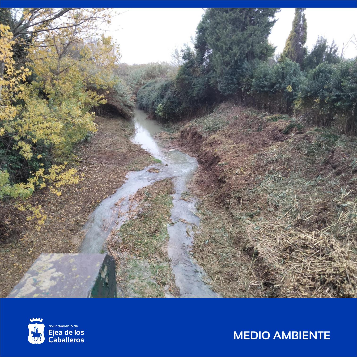En este momento estás viendo Finalizadas varias actuaciones de limpieza en los ríos Arba de Biel y de Luesia a su paso por el casco urbano de Ejea