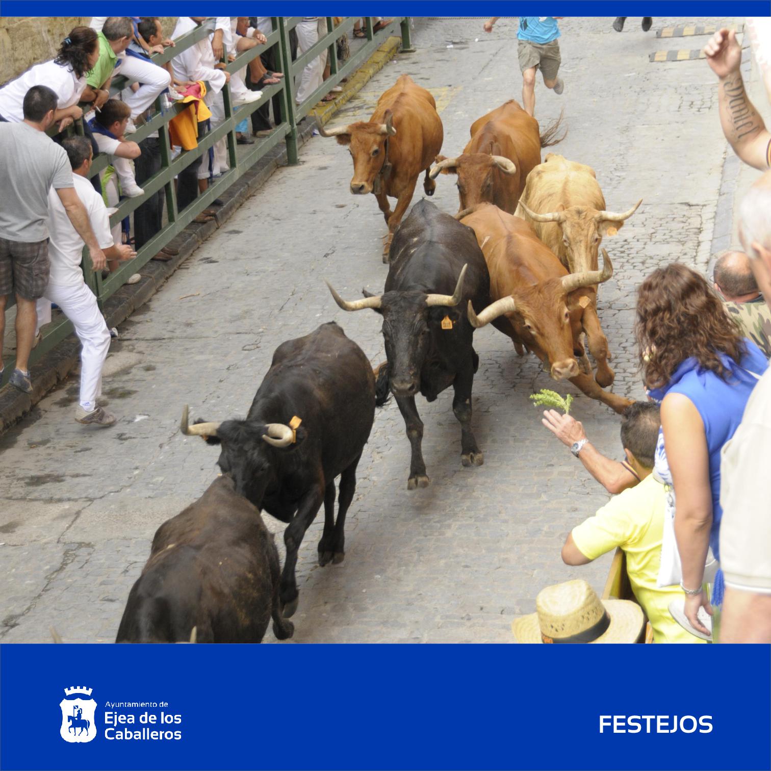 En este momento estás viendo La cuadrilla “Deskontrol” gana el XXXI Concurso de desencajonamiento de reses bravas para encierros de las Fiestas de la Virgen de la Oliva 2024