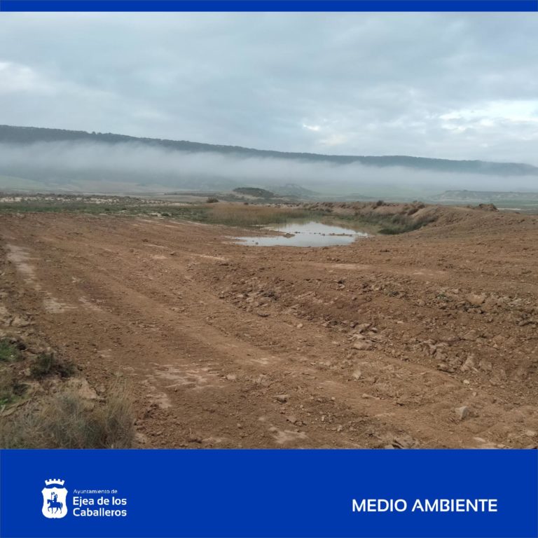 Lee más sobre el artículo Acondicionamiento de Balsas en el Monte Bardena