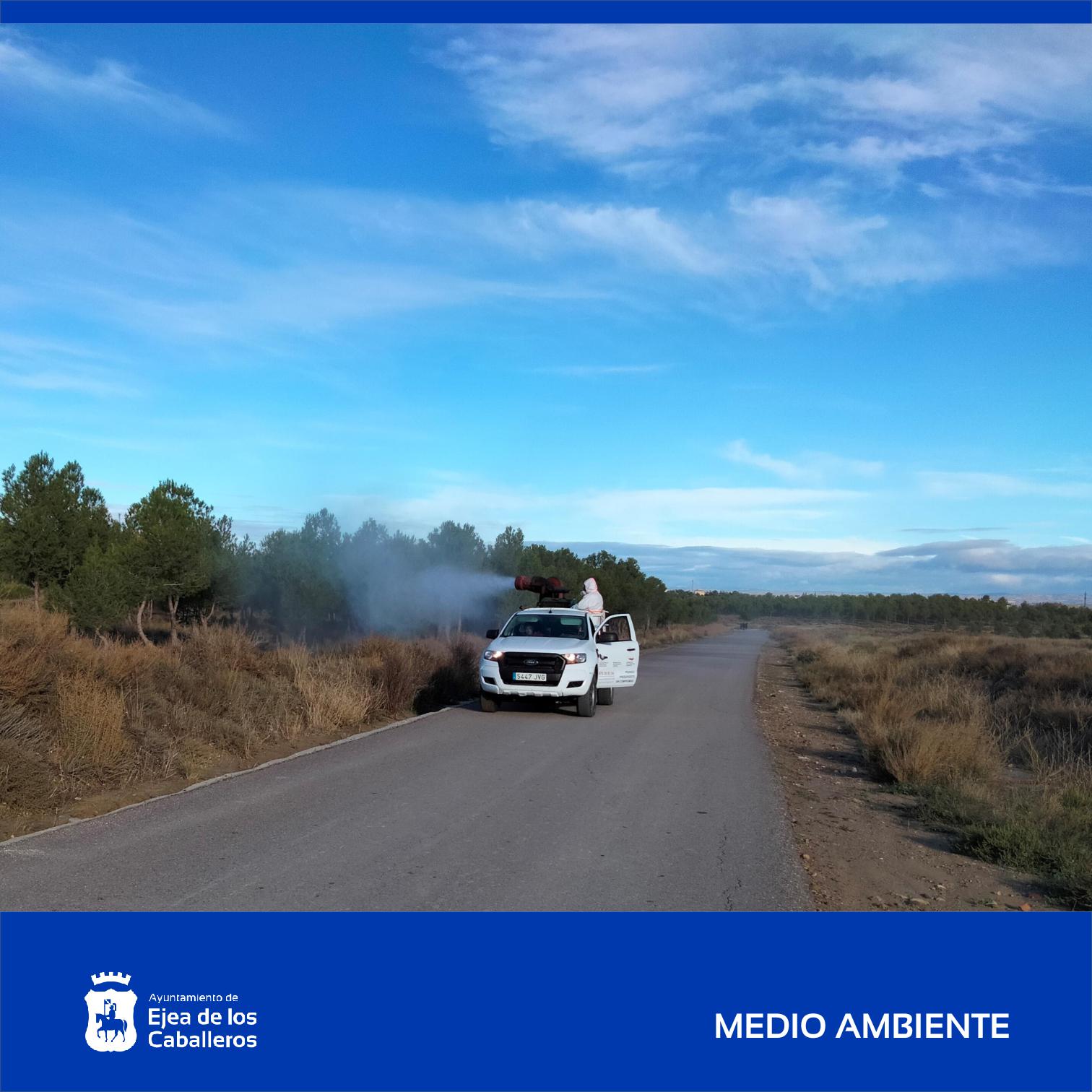 En este momento estás viendo Comienza el tratamiento preventivo para el control de la procesionaria en montes con pinares de Ejea y sus Pueblos