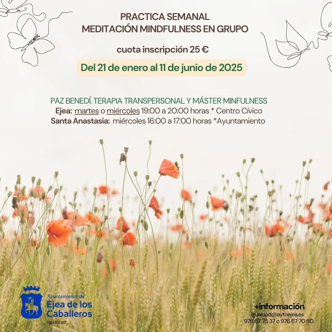 En este momento estás viendo Comienzan las prácticas semanales de «Meditación Mindfulness» en grupo