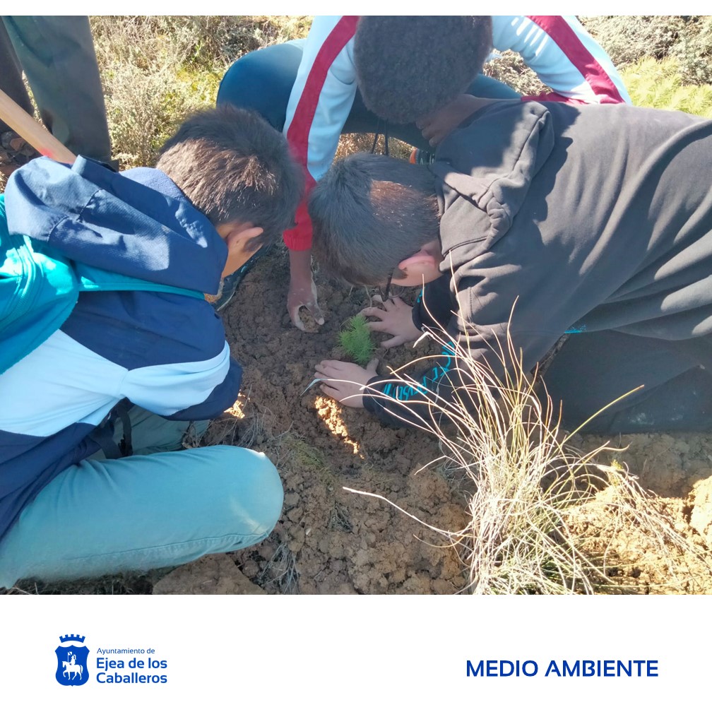 En este momento estás viendo 200 alumnos de Educación Primaria participan en la celebración del «Día del Árbol»