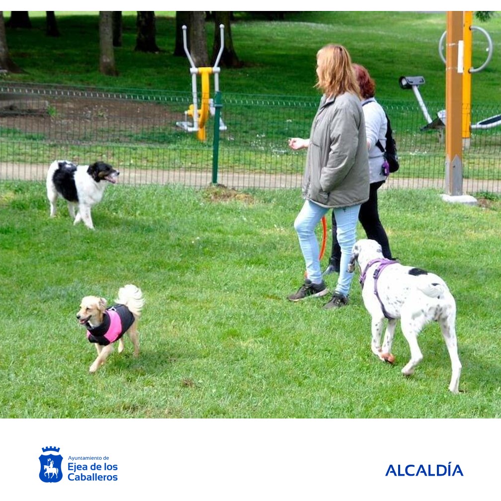 En este momento estás viendo Ejea sumará tres nuevas zonas de esparcimiento canino