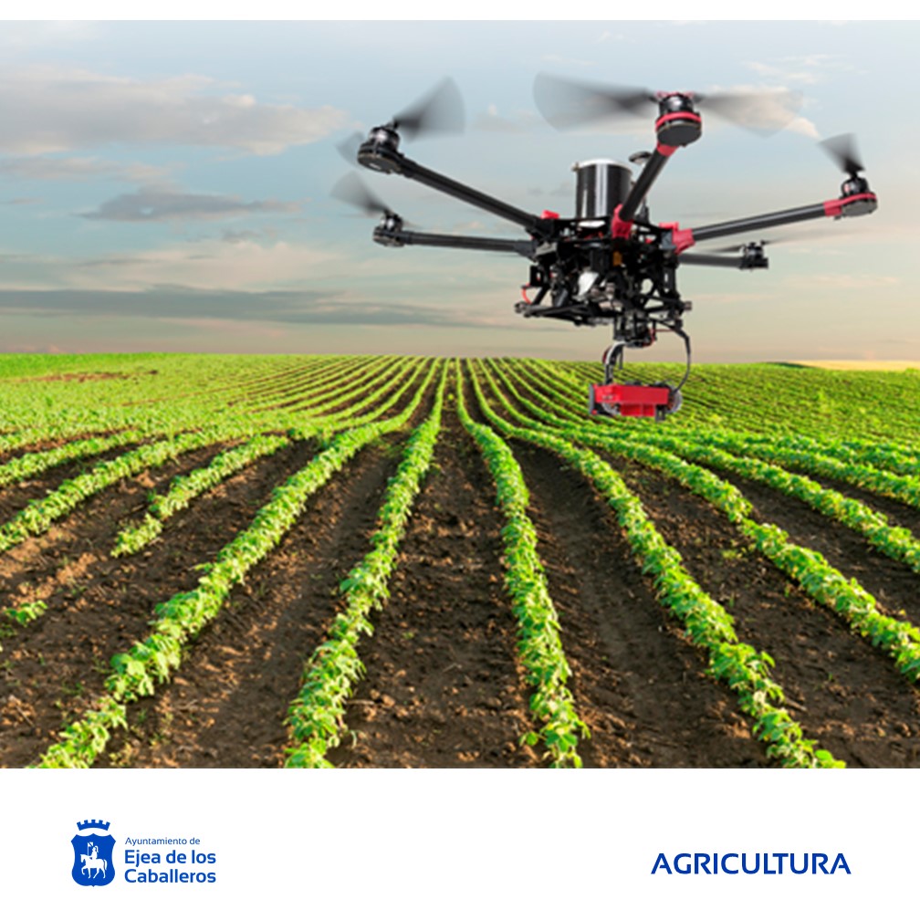 En este momento estás viendo Ejea estudia convertir su patrimonio municipal agrario en una plataforma de experimentación innovadora