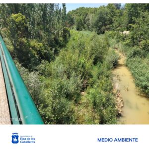 Lee más sobre el artículo Más trabajos de limpieza en los ríos Arba de Biel y de Luesia ante el riesgo de inundaciones