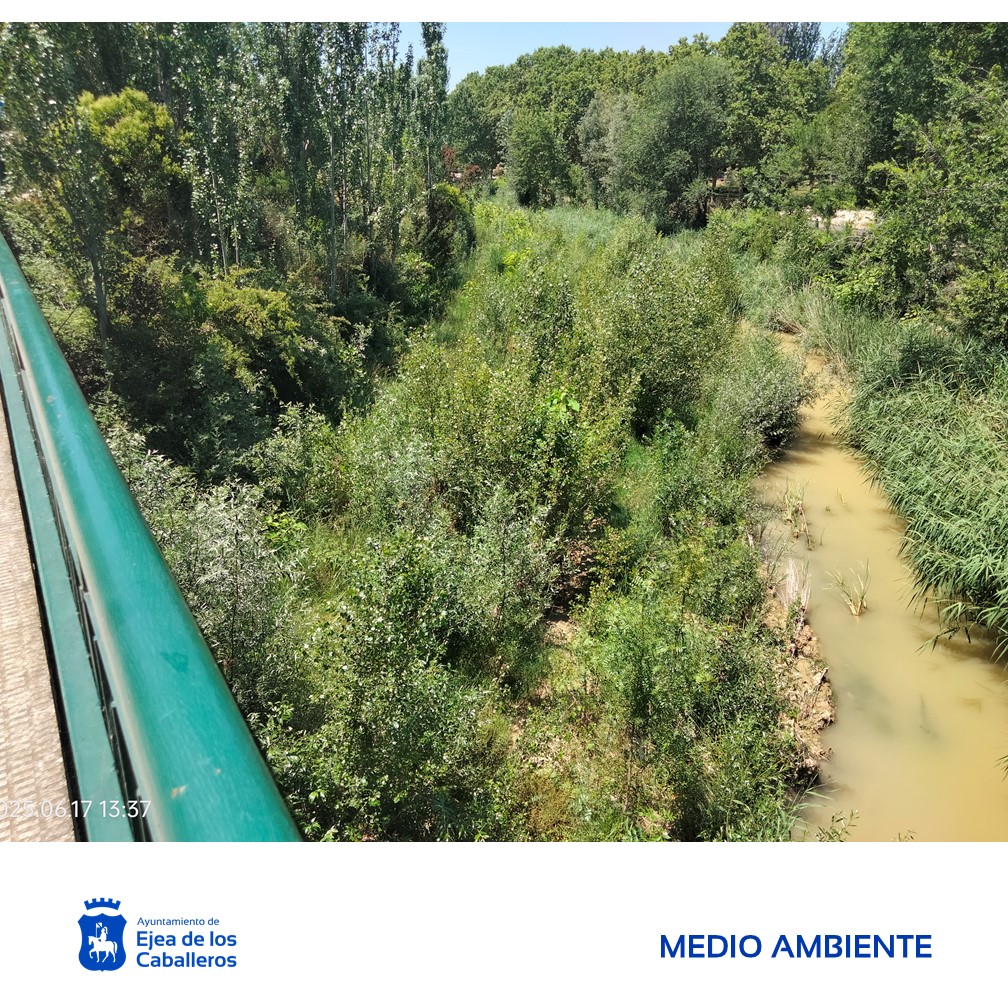 En este momento estás viendo Más trabajos de limpieza en los ríos Arba de Biel y de Luesia ante el riesgo de inundaciones