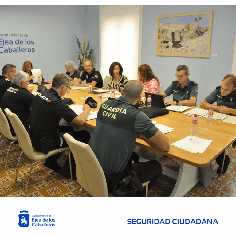 Lee más sobre el artículo El Ayuntamiento de Ejea de los Caballeros se adhiere a VIOGEN