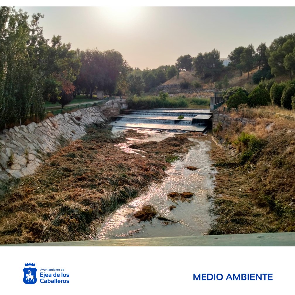 En este momento estás viendo Trabajos de mantenimiento de las márgenes de los ríos Arba de Luesia y Arba de Biel, a su paso por el casco urbano de Ejea