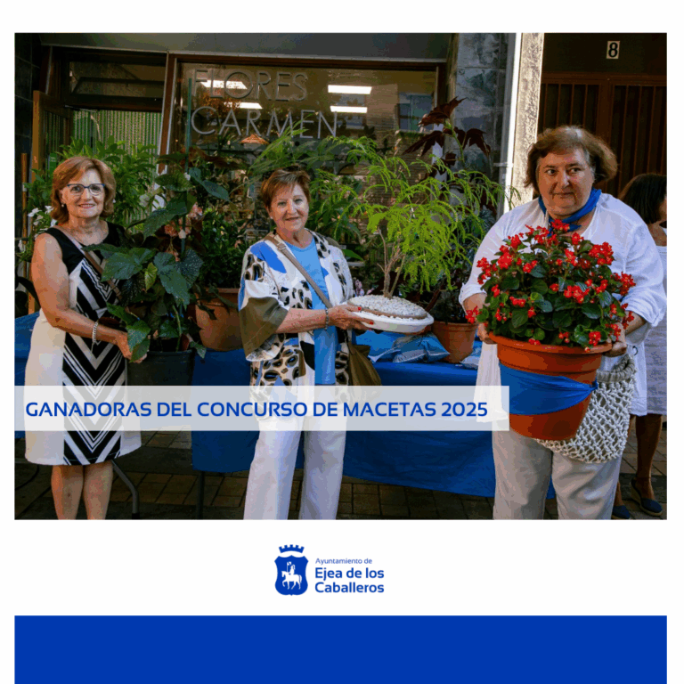 Lee más sobre el artículo Un bonsai de acacia, una begoña de ala de ángel y una begoña  doublet,  las plantas ganadoras del Concurso de Macetas 2025 de las Fiestas de la Virgen de la Oliva