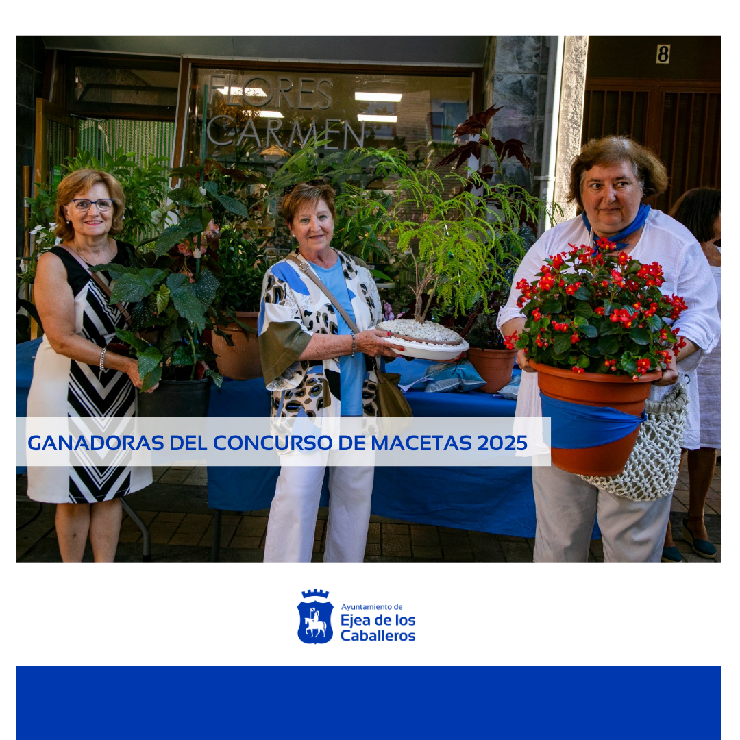 En este momento estás viendo Un bonsai de acacia, una begoña de ala de ángel y una begoña  doublet,  las plantas ganadoras del Concurso de Macetas 2025 de las Fiestas de la Virgen de la Oliva