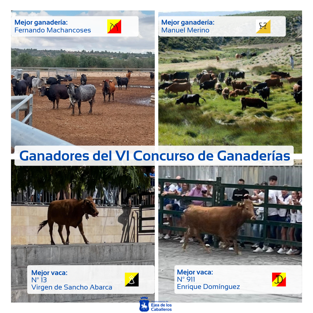 En este momento estás viendo Premios Exaequo para la Mejor Ganadería y la Mejor Res en los encierros de las Fiestas de la Virgen de la Oliva 2025