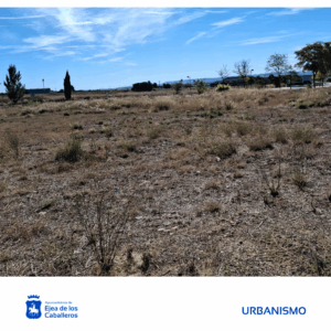 Lee más sobre el artículo El Ayuntamiento de Ejea de los Caballeros construirá un pabellón polivalente en el Barrio de Las Eras