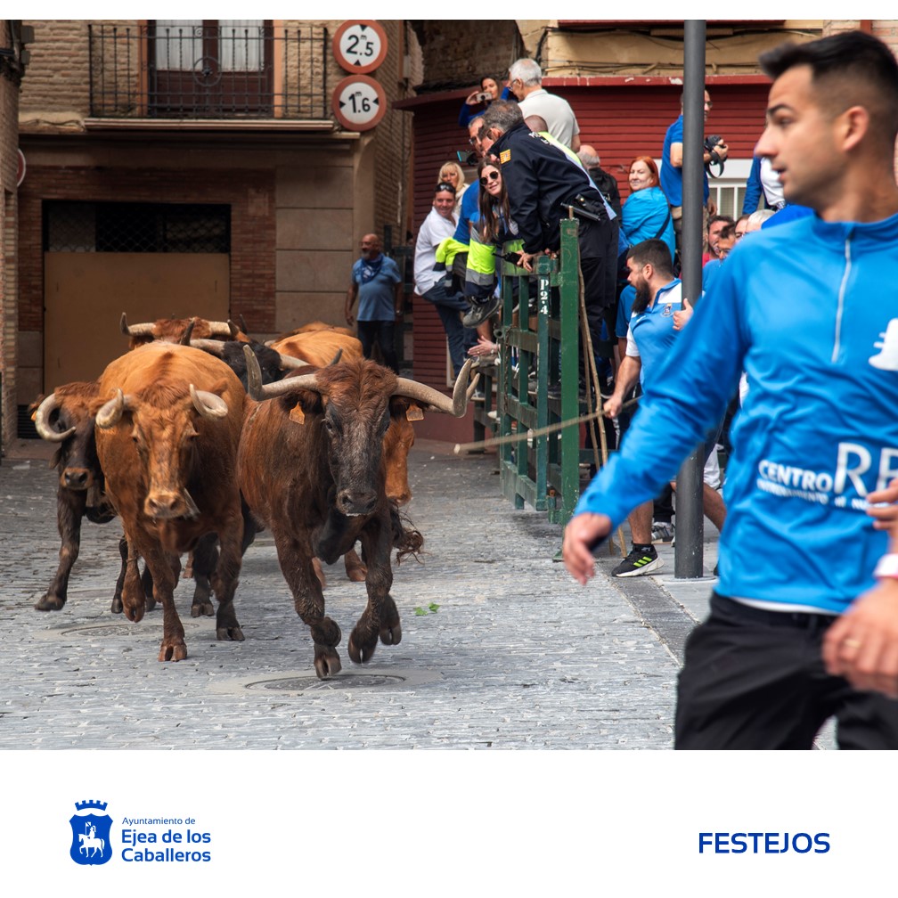 En este momento estás viendo La cuadrilla “La Chusta” gana el XXXII Concurso de desencajonamiento de reses bravas para encierros de las Fiestas de la Virgen de la Oliva 2025