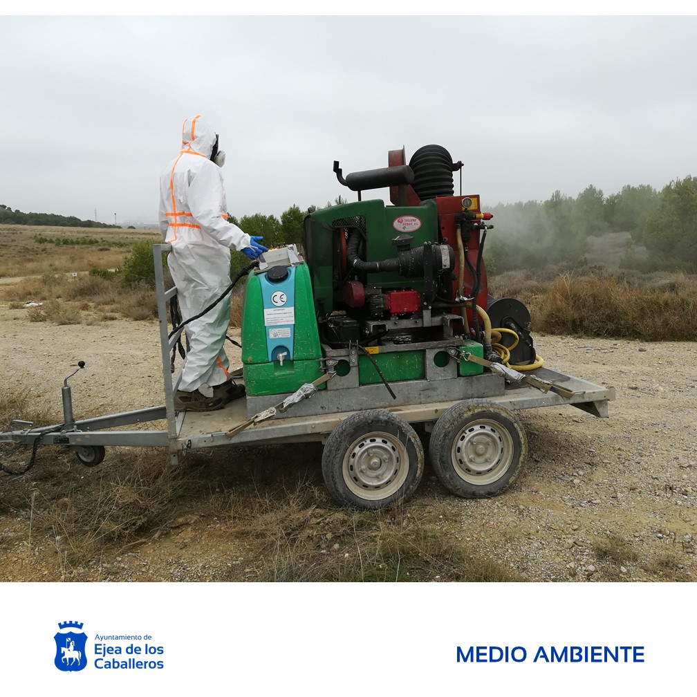 En este momento estás viendo Comienza el tratamiento preventivo para el control de la procesionaria en montes con pinares de Ejea y Pueblos