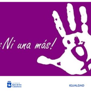 Lee más sobre el artículo Aprobada la propuesta sobre el Día Internacional contra la Violencia hacia las Mujeres