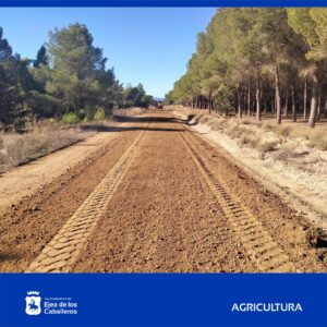 Lee más sobre el artículo Continúan los trabajos de mejora de caminos rurales en Ejea y sus Pueblos