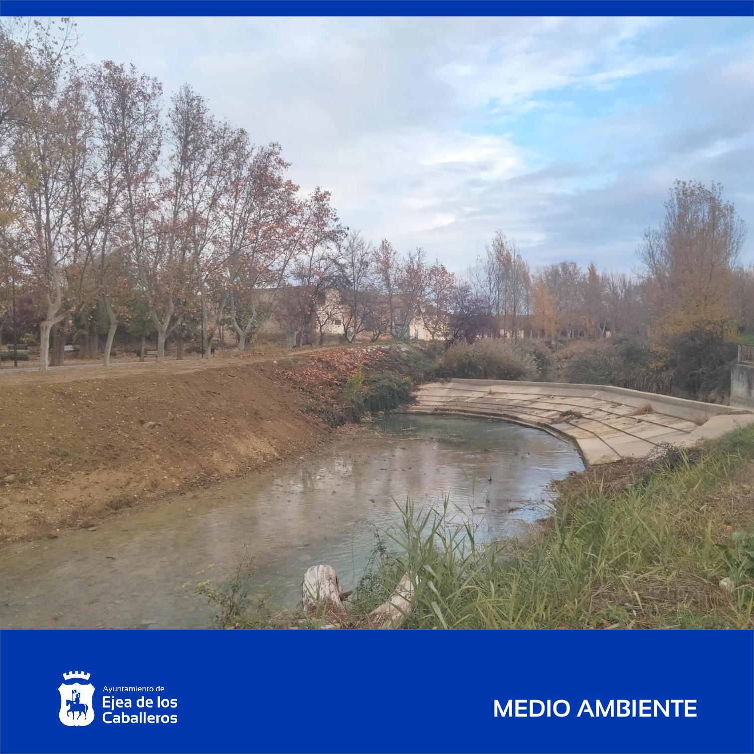 En este momento estás viendo Continúan los trabajos de mantenimiento del río Arba de Luesia a su paso por el casco urbano de Ejea