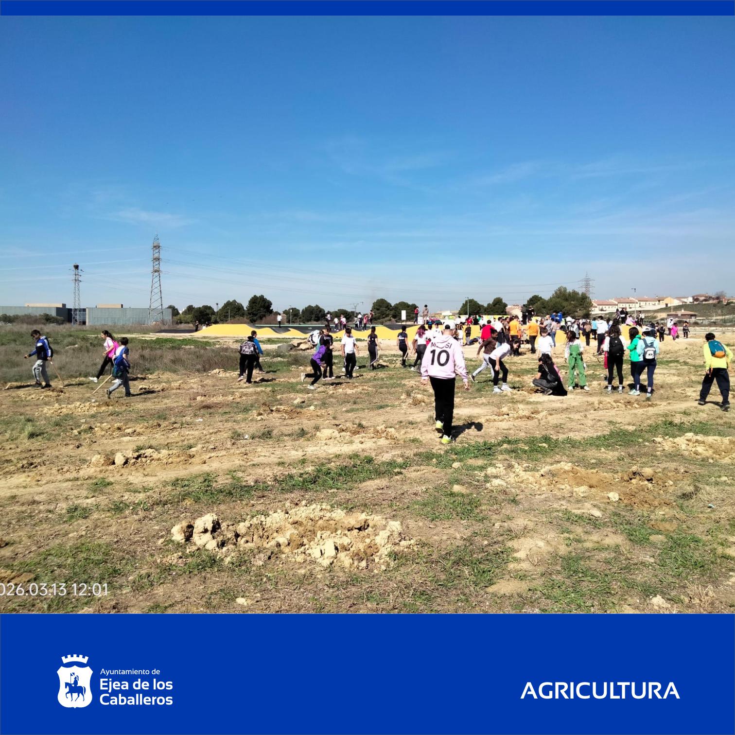 En este momento estás viendo 180 alumnos de Ejea y sus Pueblos han celebrado el «Día del Árbol» en el entorno de la Estanca del Gancho