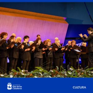 Lee más sobre el artículo El Ayuntamiento de Ejea activa la venta anticipada de entradas para el 52 Certamen Coral