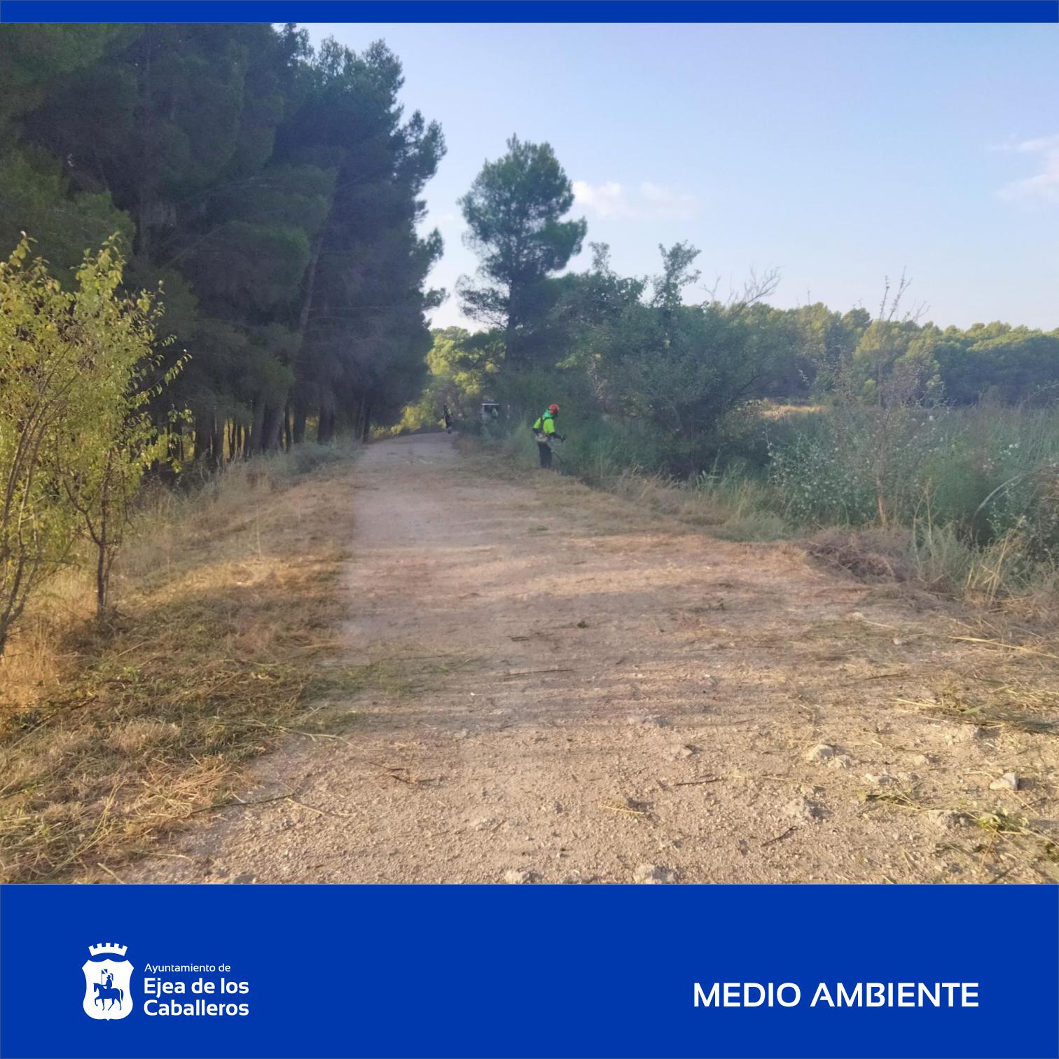 En este momento estás viendo Avanzan los trabajos de mantenimiento de montes, humedales y riberas de ríos en tramos urbanos de Ejea