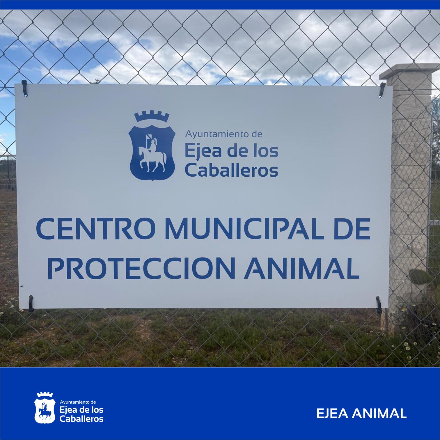 En este momento estás viendo Ejea contará con un Centro de Protección Animal para mejorar la atención, protección y adopción de perros abandonados
