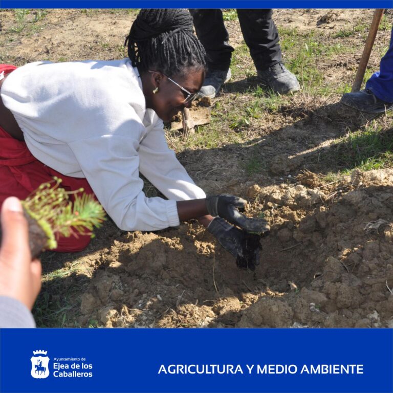 Lee más sobre el artículo Plantaciones de árboles y acondicionamiento de los ríos Arba de Luesia y Biel en el marco del Plan Nacional de Restauración de la Naturaleza
