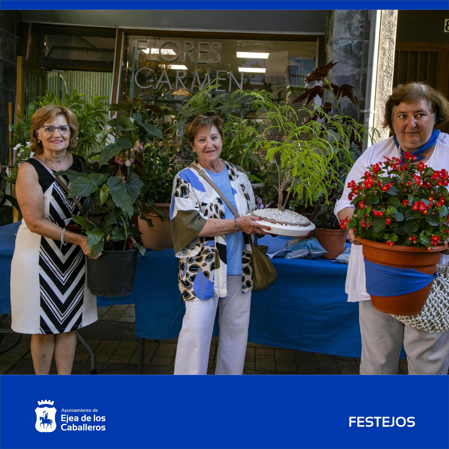 En este momento estás viendo Concurso de macetas “Fiestas de la Virgen de la Oliva 2026”: Una oportunidad para mostrar la buena mano para las plantas