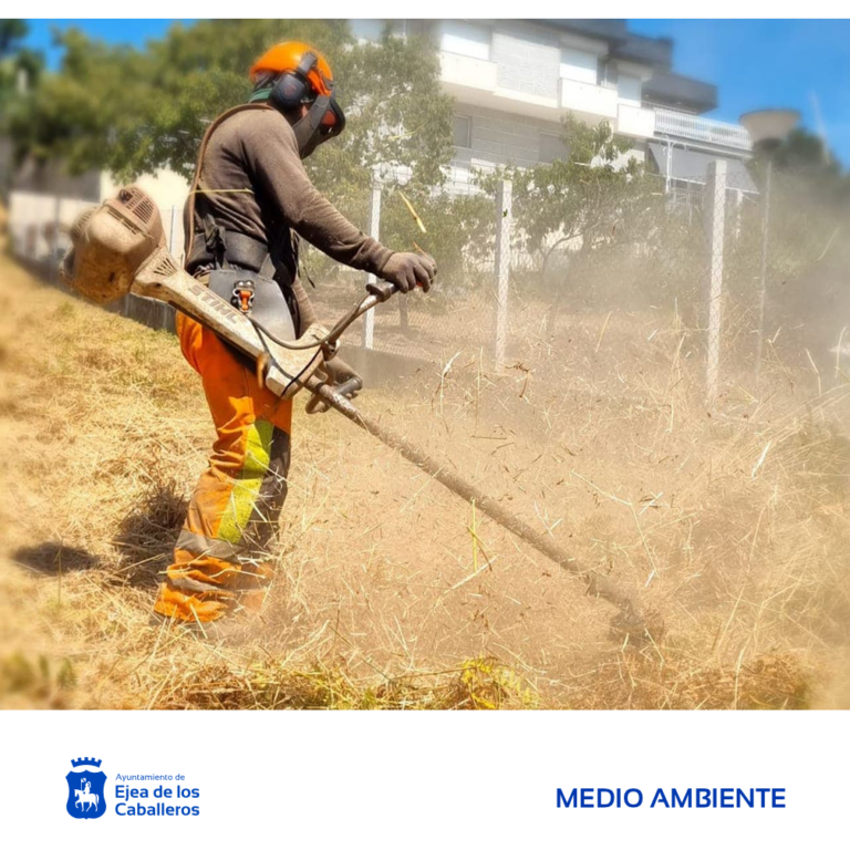 Lee más sobre el artículo Actuaciones de desbroce en zonas con riesgo evidente de incendios