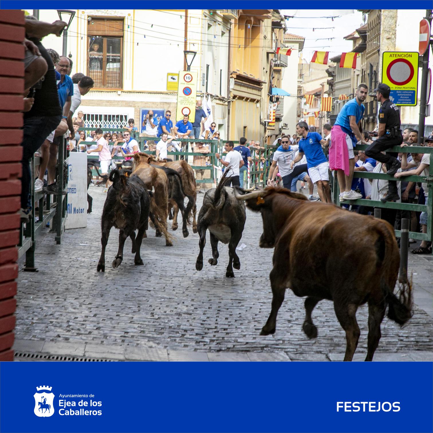 En este momento estás viendo La cuadrilla «Los Felpudos» gana el XXXIII Concurso de desencajonamiento de reses bravas para encierros de las Fiestas de la Virgen de la Oliva 2026